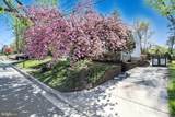 209 Cedar Avenue - Photo 6