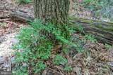 TBD Comptons Rd - Photo 28