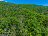 Lot 37 Poplar Trl - Photo 18