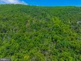 Lot 37 Poplar Trl - Photo 22