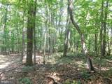 Lot 4A1 Larkin Ridge Road - Photo 12