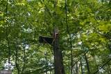 0 Appleway - Photo 11