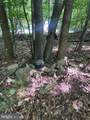 TBD Brill Rd - Photo 8