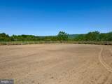 11698 Chaney Spring Road - Photo 90