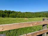 11698 Chaney Spring Road - Photo 92