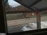 10366 Main Street - Photo 16