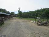 176 Pinedoro Lane - Photo 8