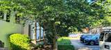 1622 Ripon Place - Photo 10