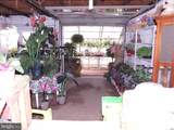 914 Harrison Street - Photo 16