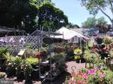 914 Harrison Street - Photo 3