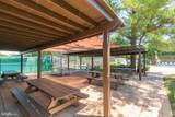 27-B Darien - Photo 43