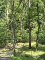 204 Raccoon Lane - Photo 39