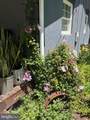 204 Raccoon Lane - Photo 9