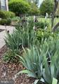 6 Tom Fox Court - Photo 49