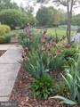 6 Tom Fox Court - Photo 54