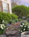 6 Tom Fox Court - Photo 55