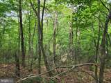 94 ACRES Moores Hollow Road - Photo 17