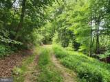 94 ACRES Moores Hollow Road - Photo 22