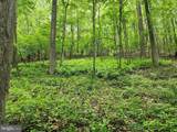 94 ACRES Moores Hollow Road - Photo 28