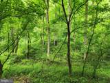 94 ACRES Moores Hollow Road - Photo 31