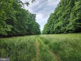 94 ACRES Moores Hollow Road - Photo 32