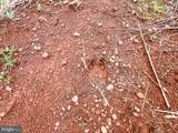 103.48 Acres Twilight Road - Photo 11