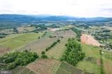 103.48 Acres Twilight Road - Photo 12