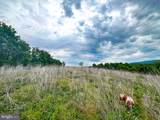 103.48 Acres Twilight Road - Photo 19