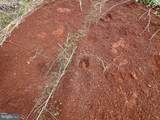 103.48 Acres Twilight Road - Photo 31