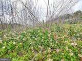 103.48 Acres Twilight Road - Photo 8