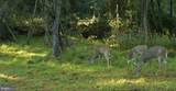  Jordan Hollow Rd - Photo 21