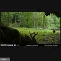  Jordan Hollow Rd - Photo 24
