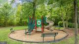 25030 Graywacke Drive - Photo 54