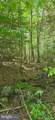  Maple Del Lane - Photo 3