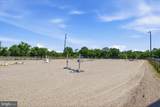 20800 Whites Ferry Road - Photo 12