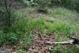TWO LOTS ON Siler Road - Photo 31