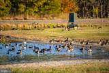 964 Taylors Island Road - Photo 4