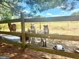 3599 Phillips Road - Photo 38