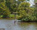 38296 Hummingbird Lane - Photo 38