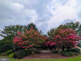 13870 Shelter Manor Drive - Photo 47