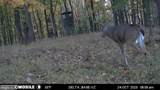 11915 Cove Road - Photo 68
