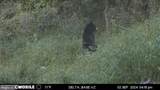 11915 Cove Road - Photo 70
