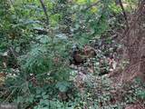 133 Woodlake Drive - Photo 30