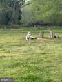 420 Duhamel Corner Road - Photo 6