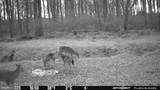 420 Duhamel Corner Road - Photo 90
