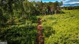  Ritchie Road - Photo 30