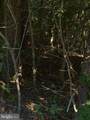  Kirtley Trl - Photo 5