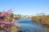 9147 Ribbon Falls Loop - Photo 44