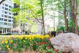 1810 Rittenhouse Square - Photo 27