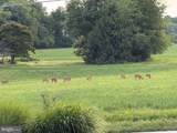 2515 Bird View Road - Photo 64